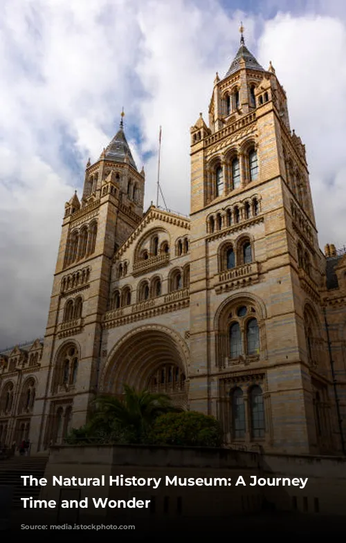 The Natural History Museum: A Journey Through Time and Wonder