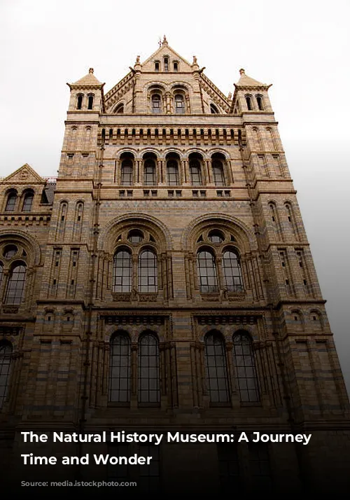 The Natural History Museum: A Journey Through Time and Wonder