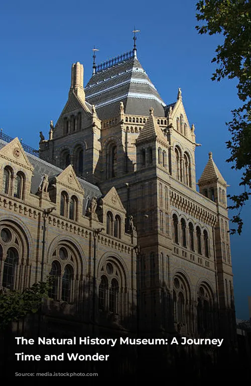 The Natural History Museum: A Journey Through Time and Wonder