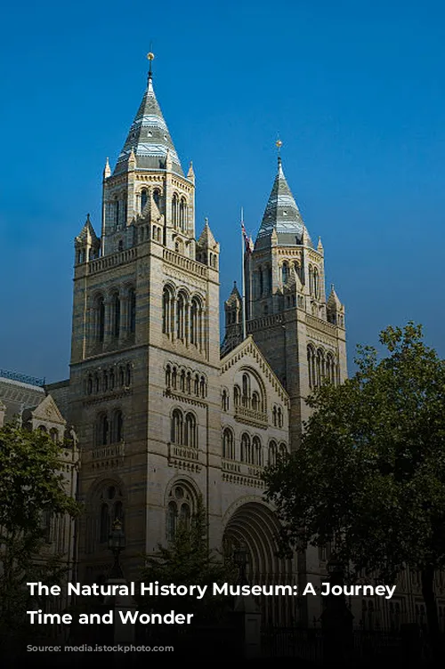 The Natural History Museum: A Journey Through Time and Wonder