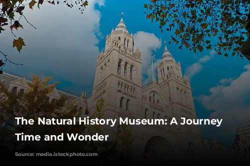 The Natural History Museum: A Journey Through Time and Wonder