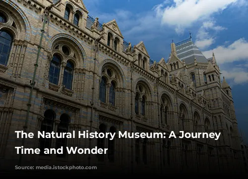 The Natural History Museum: A Journey Through Time and Wonder