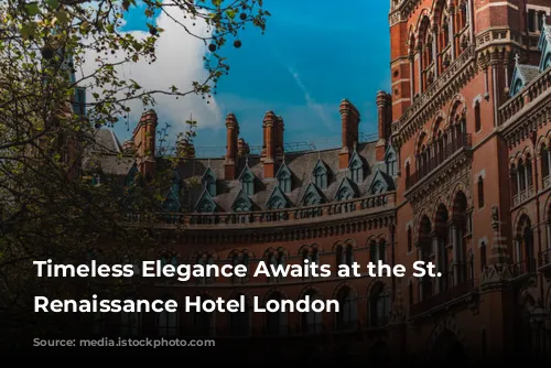 Timeless Elegance Awaits at the St. Pancras Renaissance Hotel London