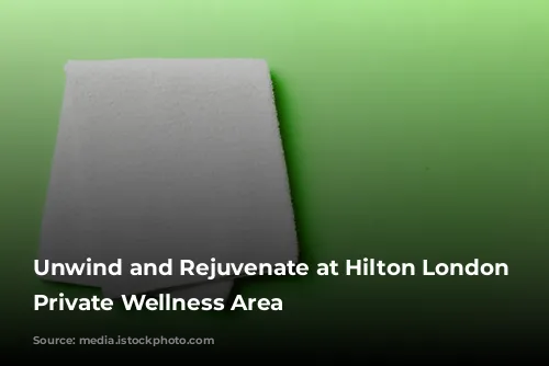 Unwind and Rejuvenate at Hilton London Croydon's Private Wellness Area