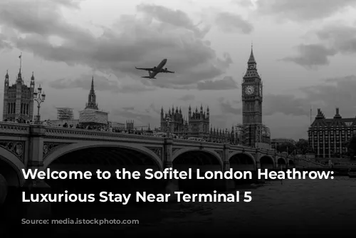 Welcome to the Sofitel London Heathrow: A Luxurious Stay Near Terminal 5