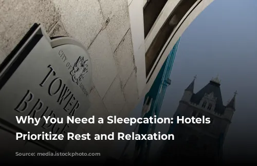 Why You Need a Sleepcation: Hotels That Prioritize Rest and Relaxation