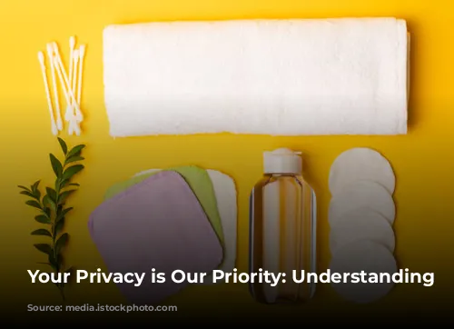 Your Privacy is Our Priority: Understanding Cookies