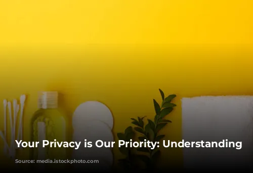 Your Privacy is Our Priority: Understanding Cookies