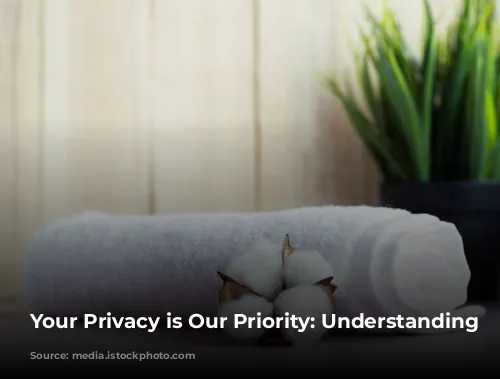 Your Privacy is Our Priority: Understanding Cookies